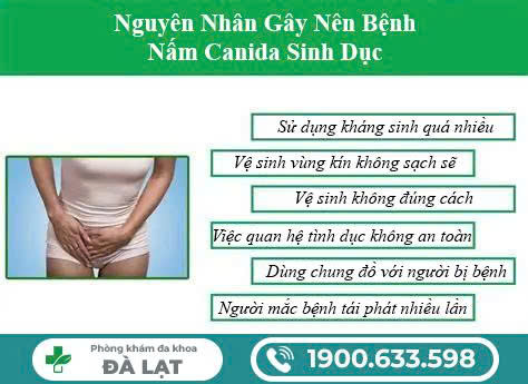 Hình ảnh minh họa